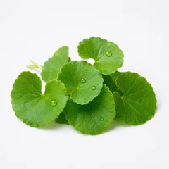 Centella asiática