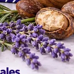 Aceites esenciales